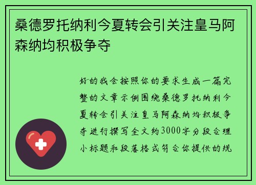 桑德罗托纳利今夏转会引关注皇马阿森纳均积极争夺 桑德罗托纳利今夏转会引关注皇马阿森纳均积极争夺
